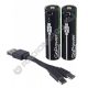 Аккумулятор GoPower 18650 2000mAh 3,7V BOX2 TYPE-C (2/20/240) с защитой с высоким контактом