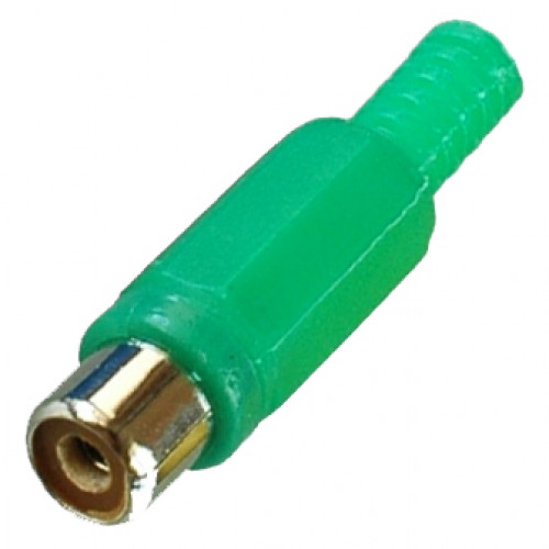 3037